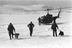 Lavinehunder og førere, med et av luftforsvarets helikopter 