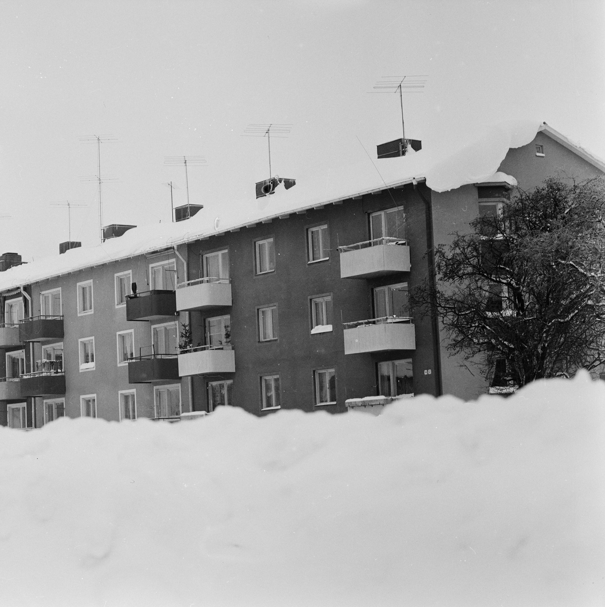 UNT-reportage, snöbilder, Tierp januari 1959