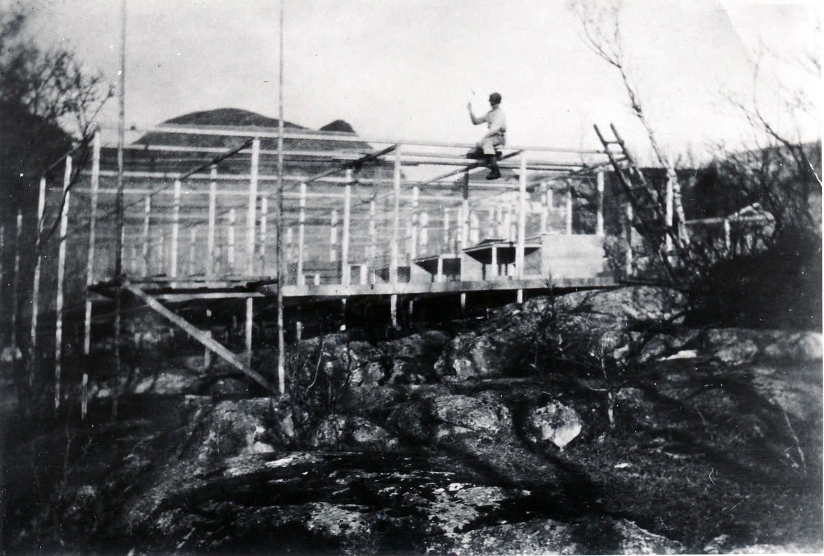 Oddmund Klausen i arbeid på taket av revegården. Skrolsvik