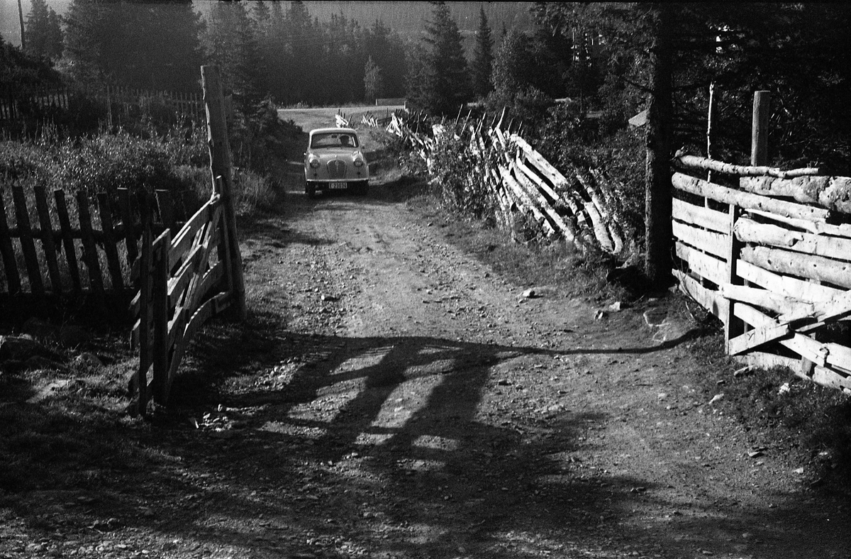 Bilen til Ole Majer fra Lensbygda (sitter inne i bilen) i ei gutu på ukjent sted. Bildet er nok fra en av turene han og Sigurd Røisli hadde sammen.