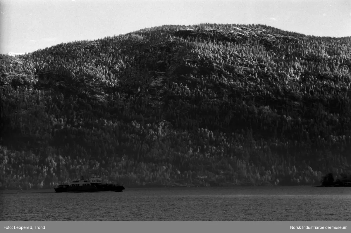 Storegut i ferdsel på Tinnsjøen.