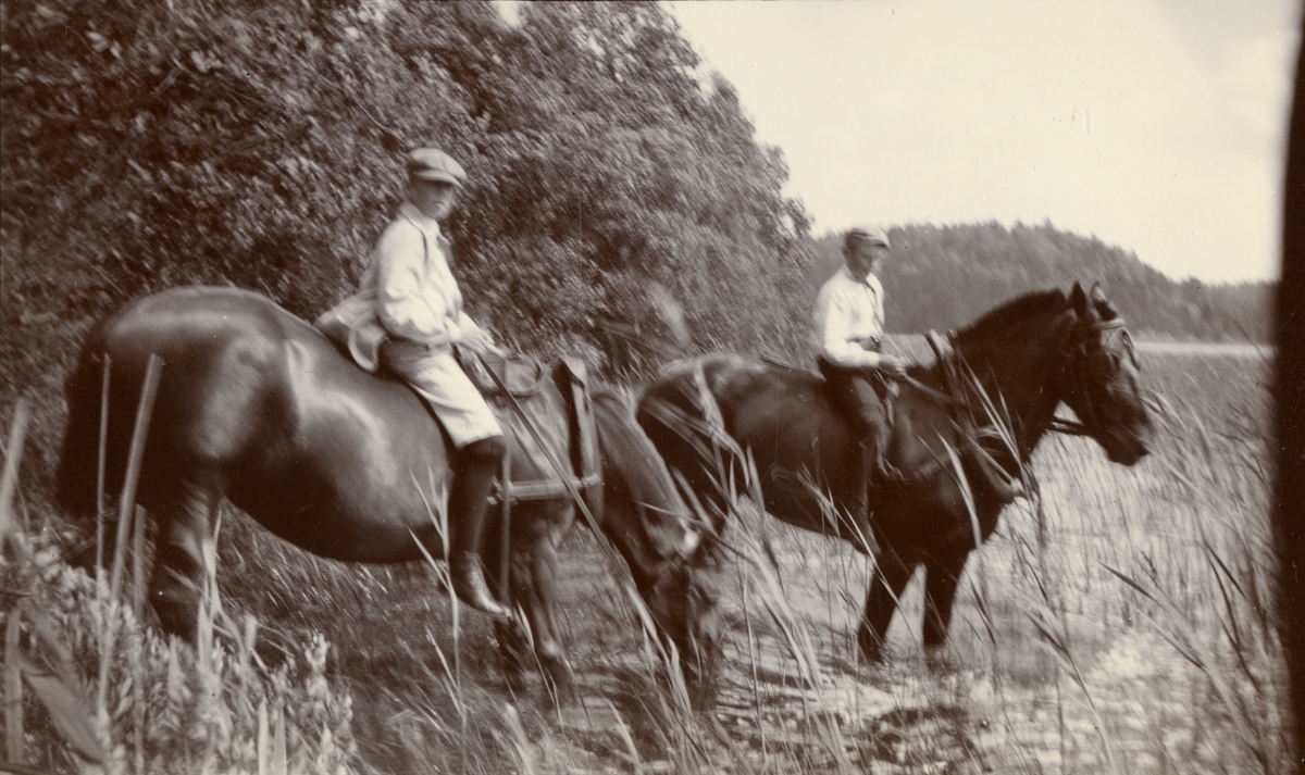 Folke Bernadotte och Gustaf Adolf Westerström vattnar hästarna.