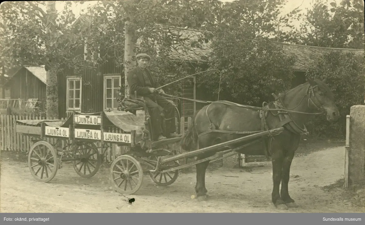 Vykort med motiv av en häst och vagn från Ljungå. Enligt texten på baksidan: Johan Östlund med hästen Frejj.
