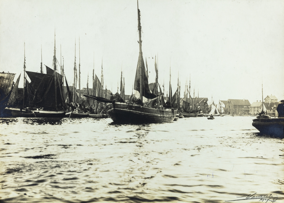 Smedasundet sett mot nordvest, ca. 1905.