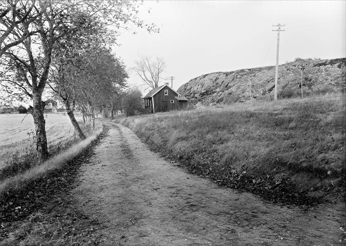 Gårdsmiljö, Johannelund, Sala backe, Vaksala socken, Uppland 1947