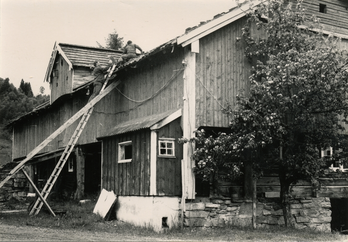 Dokumentasjonsbilder i serie av eksteriøret og nedtakinga av Opshaugløa. Bilda viser hvor den stod før.