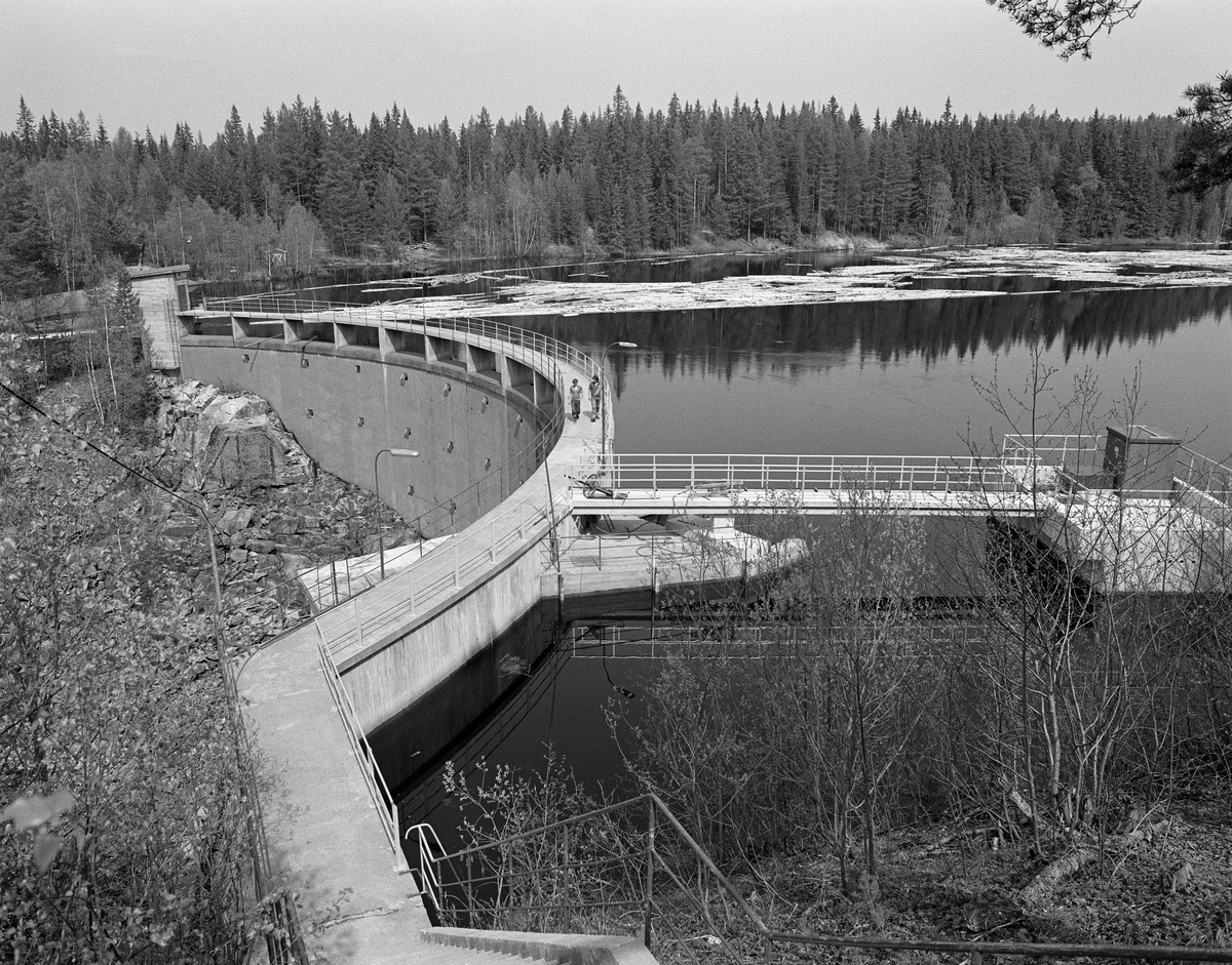 Sluttrensk på kraftverksdammen ved Osfallet i elva Søndre Osa i Åmot i Hedmark i mai 1984, den siste sesongen det foregikk tømmerfløting i denne delen av Glomma-vassdraget.  Fotografiet viser hvordan fløterne, fordelt på to robåter med ei mellomliggende lense, sørget for at løstømmer på vannspeilet ble trukket mot kraftverksdammen.  Der var det lagt ut lenser for å lede virket mot tømmerløpet som var plassert mot det nordre landet, hvor fallhøyden var mindre enn nedenfor den buete hoveddammen mot søndre landside. Da dette fotografiet ble tatt vandret to personer på damkrona. Damanlegget på fotografiet skal ha vært ferdigstilt i 1947.  Den ble noe ombygd i 1981.  Ettersom vassdragslovgivinga påla dem som drev tømmerfløting å fjerne installasjoner i vann ved opphør av virksomheten, ble tømmerløpet ved Osfallsdammen revet umiddelbart etter at fløtinga på dette fotografiet var avviklet.  Energiproduksjonen ved denne lokaliteten foregår i en kraftstasjonsbygning fra 1914, cirka en kilometer nedenfor den avbildete dammen, hvor det er installert to francisturbiner som kan yte 5.5 megawatt.  Den opprinnelige dammen ble ødelagt ved et dambrudd i 1916.  Det nåværende kraftverket utnytter et fall på 41 meter i elva Søndre Osa.  Vegen på sørsida av vassdraget fører ned til kraftstasjonen og derfra mot Fylkesveg 215 ved Oset.