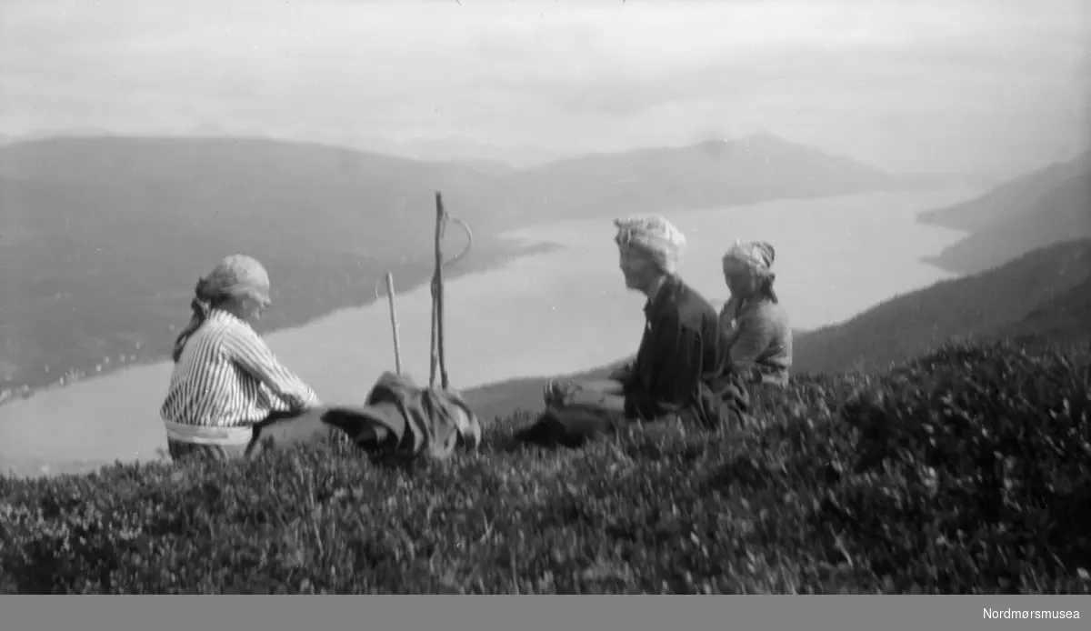 Foto av tre kvinner på fjelltur . Foto fra en samling av Ida Staurseth Mittet. Fra Nordmøre museums fotosamlinger.