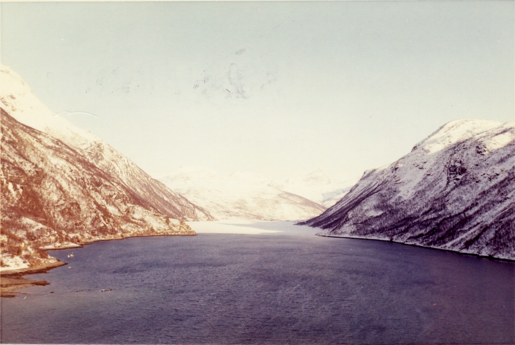 Beisfjord