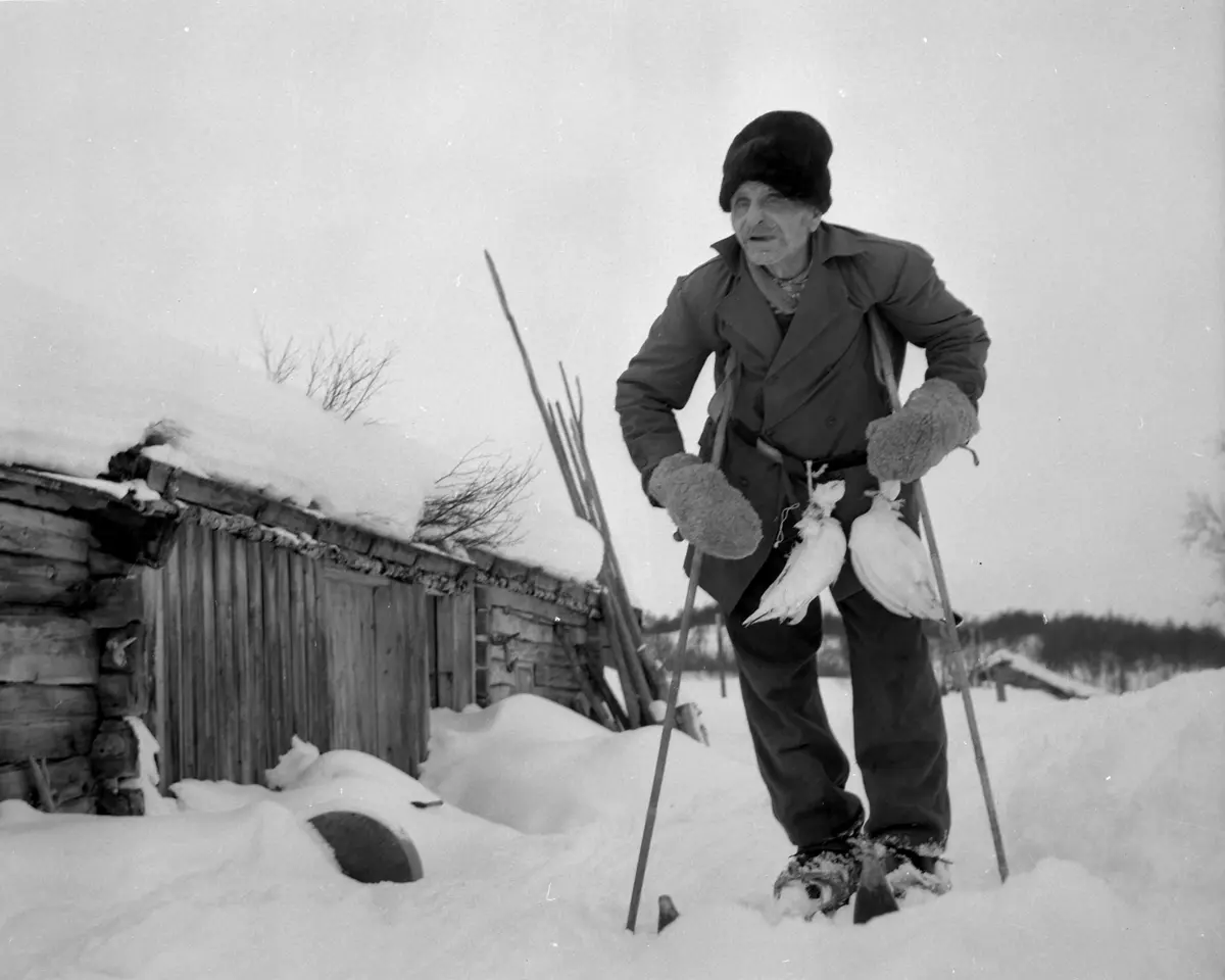 Kalsa-Mårten har vært på jakt. Han stor med skiene på og med to ryper hengende i belte