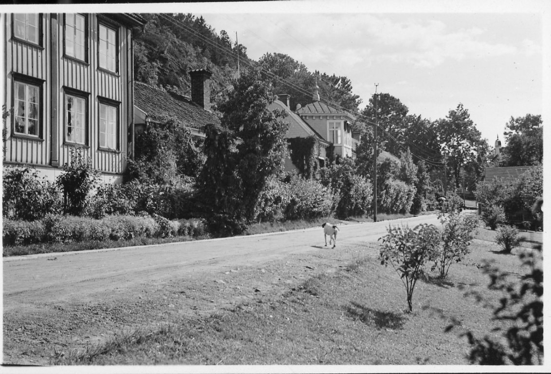 Sommar på Bergsgatan i Gränna. Från Bergsgatan 24 och söderut. En hund springer på vägen.