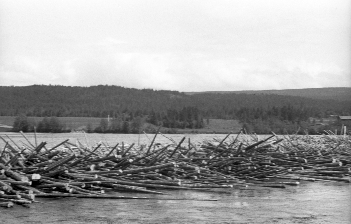 Tømmerhaug langs dammen ved Hommelnesset.
Bildet er tatt for å bli en del av et sammensatt panoramabilde (se bilde 2).