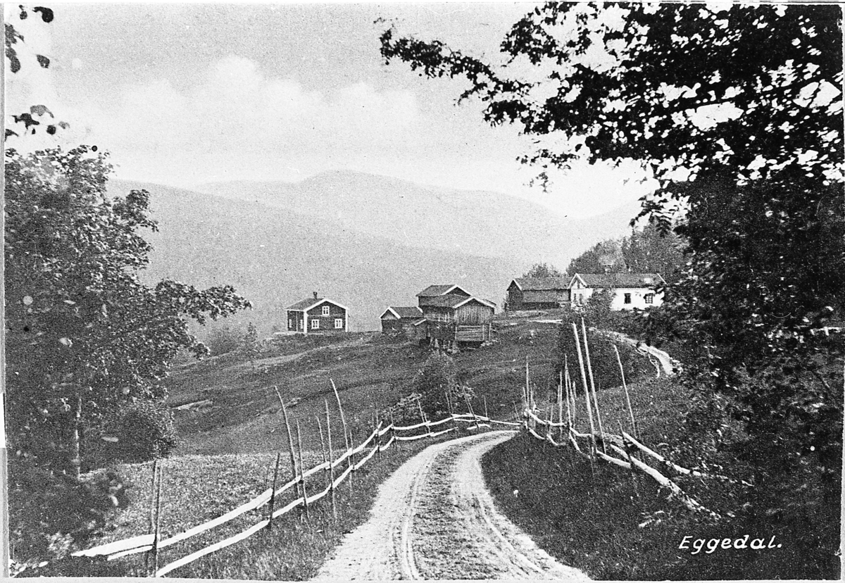Postkort med tittel «Eggedal». Den gamle bygdeveien med "raje-garde" på sidene, gårdstunet på Pletan i bakgrunnen. Antagelig før 1900. 