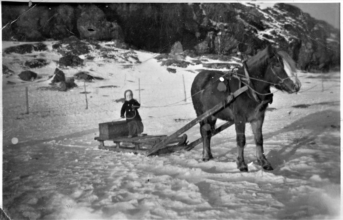 Treningstur med hesten Primula, Hellem, Oksvoll