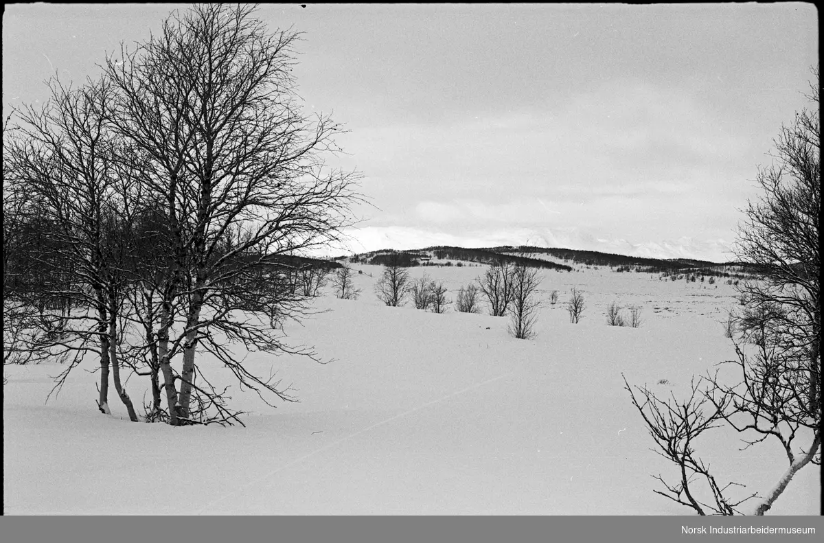 Vinterlandskap med Raulandsfjellene i bakgrunnen.