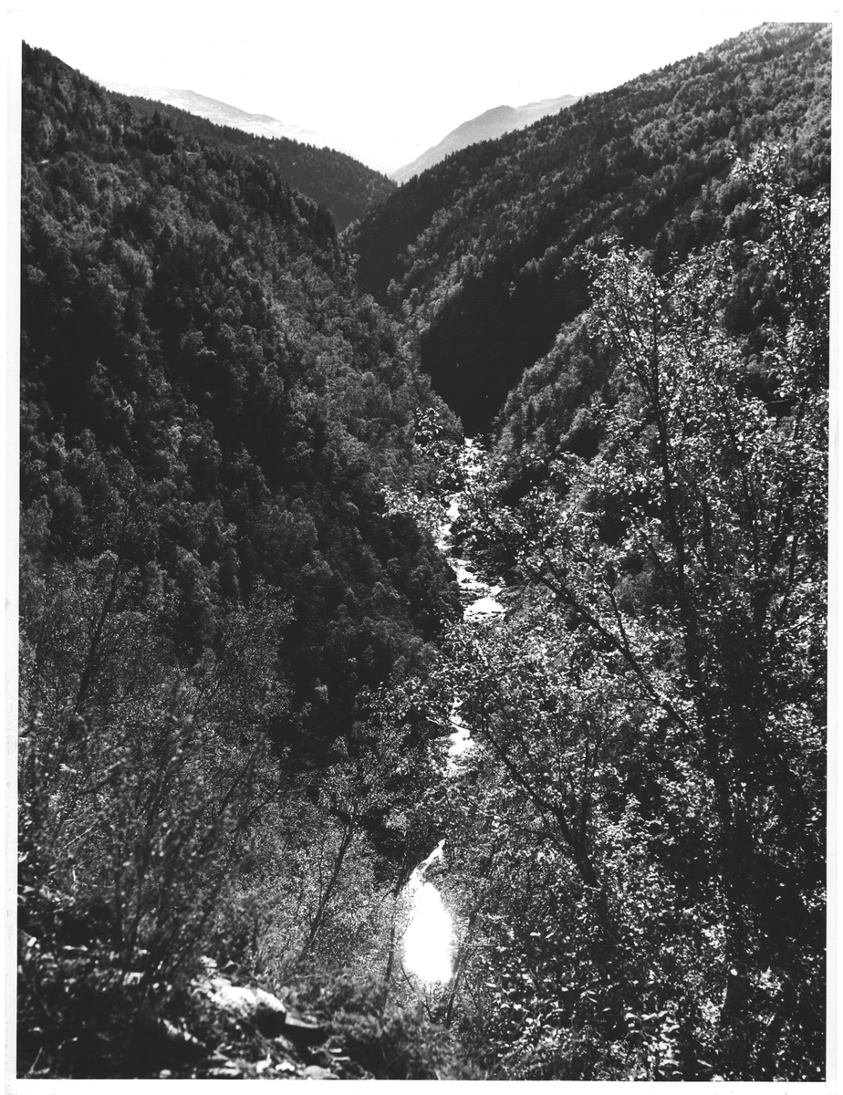 Visdalen fra veien til Spiterstulen i Jotunheimen