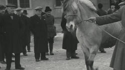Snapshots fra det tradisjonelle Oslo-Marken med hestesalg og
