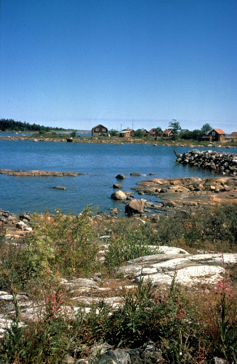Fiskeläge, Fågelsundets fiskeläge, Hållnäs socken, Uppland 1971