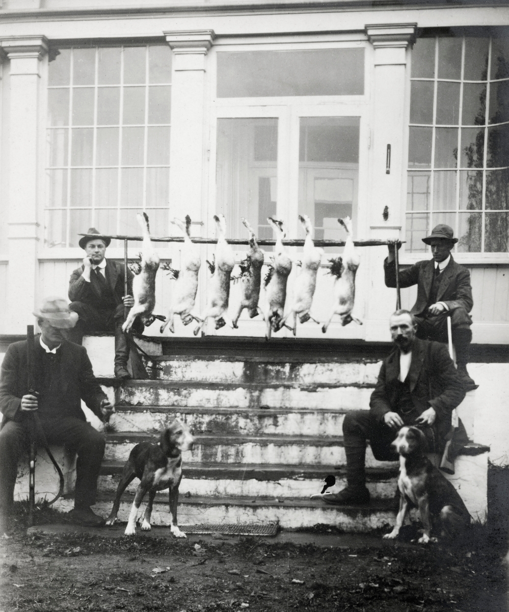 Fire stolte jegere med geværer og to hunder med sju harer, fotografert på ei trapp framfor våningshuset på Storøya – den gang kalt «Storøen» – i Tyrifjorden.  Vi kjenner foreløpig bare identiteten til en av jegerne, nemlig Ole Kjellsen Glorvigen (1869-1931) fra Åsnes i Solør. Fotografiet er tatt etter at Glorvigen, Sigurd Svenneby (1879-1965) og John Bjørneby (1874-1927), alle fra Solør, i 1910 inngikk avtale med godseier Olaf Færden (1872-1913) om å kjøpe store store skogeiendommer på Ringerike, blant annet Storøya. Denne transaksjonen ble for øvrig satt litt på vent, for mens Færden var på konkursens rand og trengte penger, reiste søstera hans odelssøksmål. Eierskapet ble først endelig avklart i 1912, etter at Færdens konkurs var et faktum og skogspekulantene fra Solør fikk auksjonsskjøte på eiendommene. Det var mye grovt, salgbart tømmer, men rentene på de summene solungene hadde lånt i forbindelse med skogkjøpet var drøye. Da de tre investorene videresolgte skogene i 1916 hadde de likevel tjent 120 000 kroner, et stort beløp på den tida. En tidligere eier av Storøya hadde sluppet harer der, og de hadde formert seg godt. For skogspekulantene og deres venner innebar dette jaktmuligheter. Sigurd Svenneby beskriver dette i sine erindringer: 

«Den største turen gjorde vi dog en høst. Gamle lensmann [Jens] Høye, Grue og hans sønn Simon (nå lensmann i Elverum), som da i tre år var min fullmektig, var med Ole Kj. Glorvigen og meg på jakt. Da skjøt vi på et par dager 28 - åtte og tyve - harer, store og feite som kalver. Jeg «maga» harer, som de sier her, så jeg var matlei mange dager etterpå. Ole Kj. hadde nylig anskaffet seg en førstepremiehund, en schweizer-støver. Den var gamle Høye så uheldig å skyte i losen, for haren gikk virkelig i los, selv om det var en del biløpere. «Faen au», sa gamle Høye, «jeg skyter da ellers alltid bom, men denne helvetes bikkja var jeg da kar om å råke». Hunden fikk tarmforsnevring av skuddet, og ble ubrukbar siden. Disse 28 på et par ettermiddagstimer. I lengden er sånn jakt slett ikke morsom!»