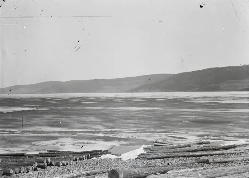 Landskapsmotiv fra ei strand med tømmerstokker. På innsjøen (Mjøsa) er det is.