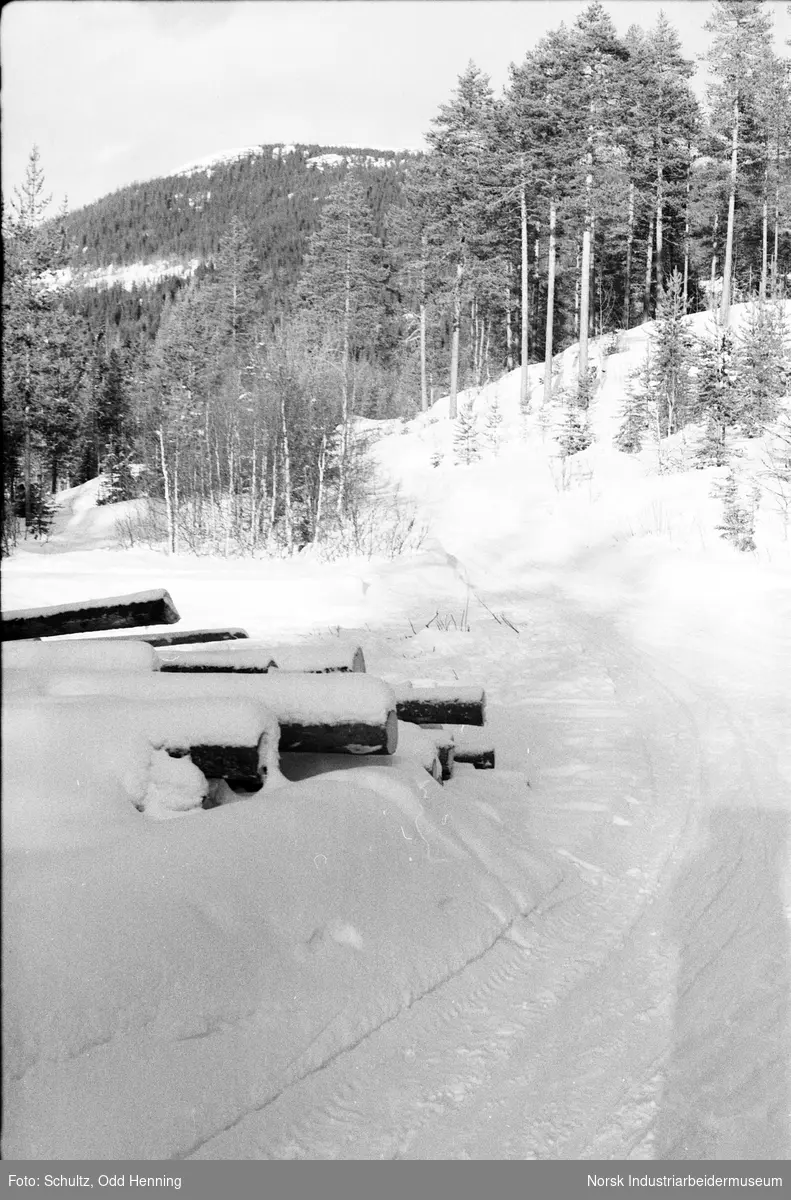 Tømmervelte ved Juvsjå, og skispor i snøen.