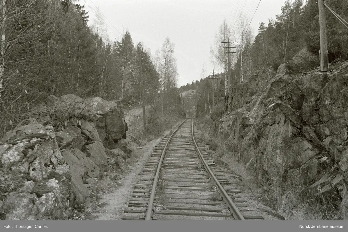 Parti fra Treungenbanen mellom Simonstad og Åmli