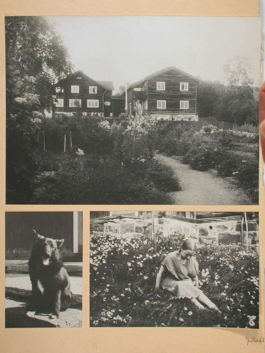 To bilder av Bjerkebæk, et sommerbilde og et vinterbilde. To bilder av Maren Charlotte i haven. To bilder av hunder.