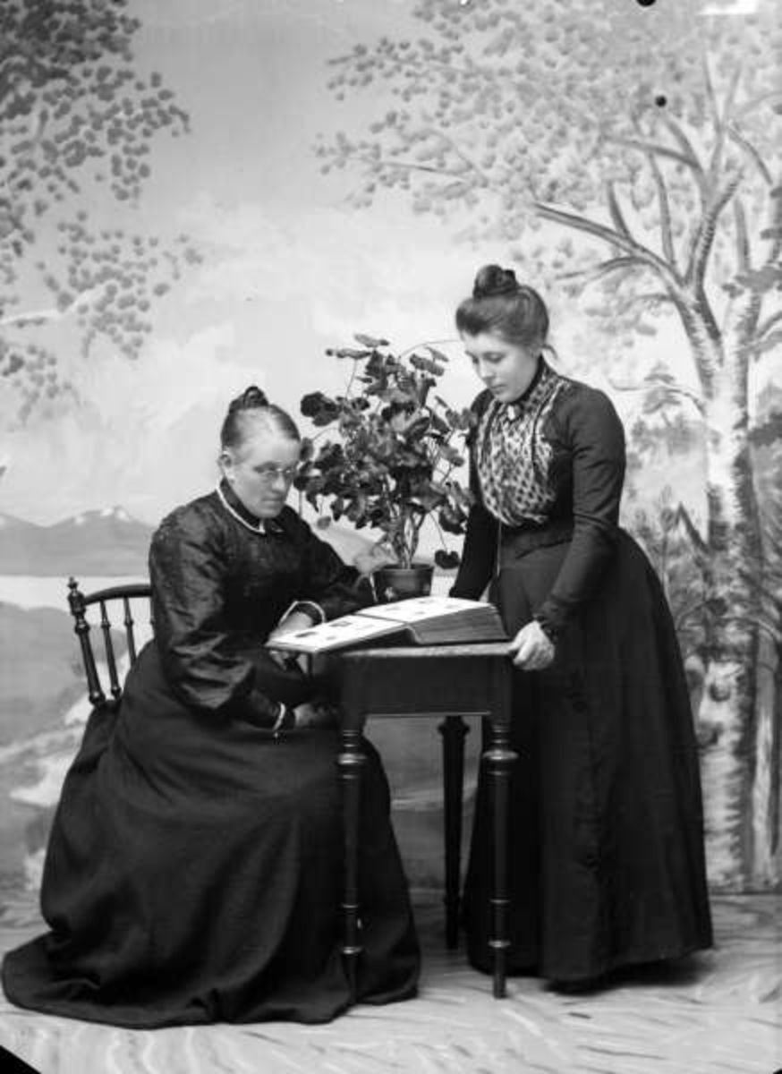 Pro: Fru Blekastad og Haugen. 09.06.1901. Atelierbilde, to kvinner ved bord med album.