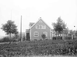 Ekern fra siden. Harlandsvegen.