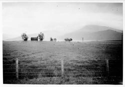 Landskap, beitemark, hus, gjerde