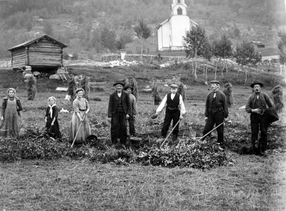 Åmlibilder samlet av Åmli historielag
Inhøstingsarbeid på Askland i Gjøvdal