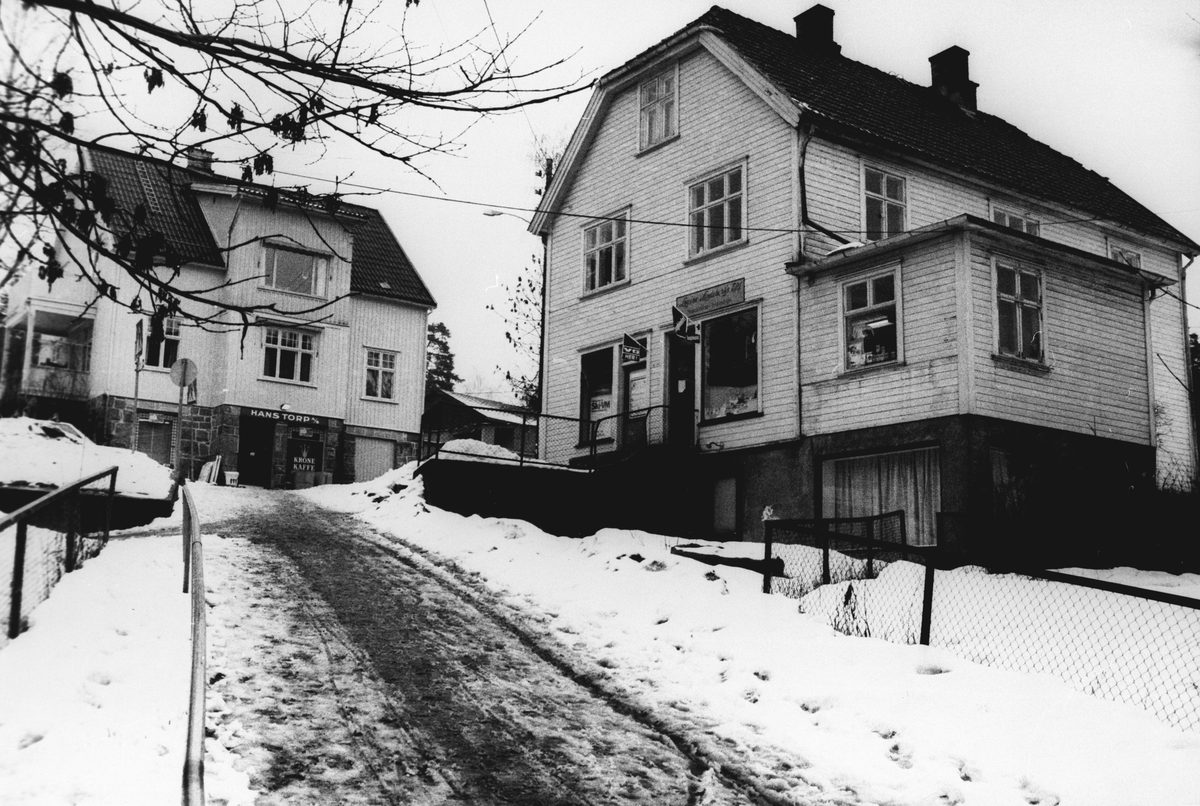 To forretnings- og boligbygg. Bildet viser veien fra Oppegård stasjon og østover til nåværende Sætreskogveien. Bakerst i bildet ses Villa Skansen.