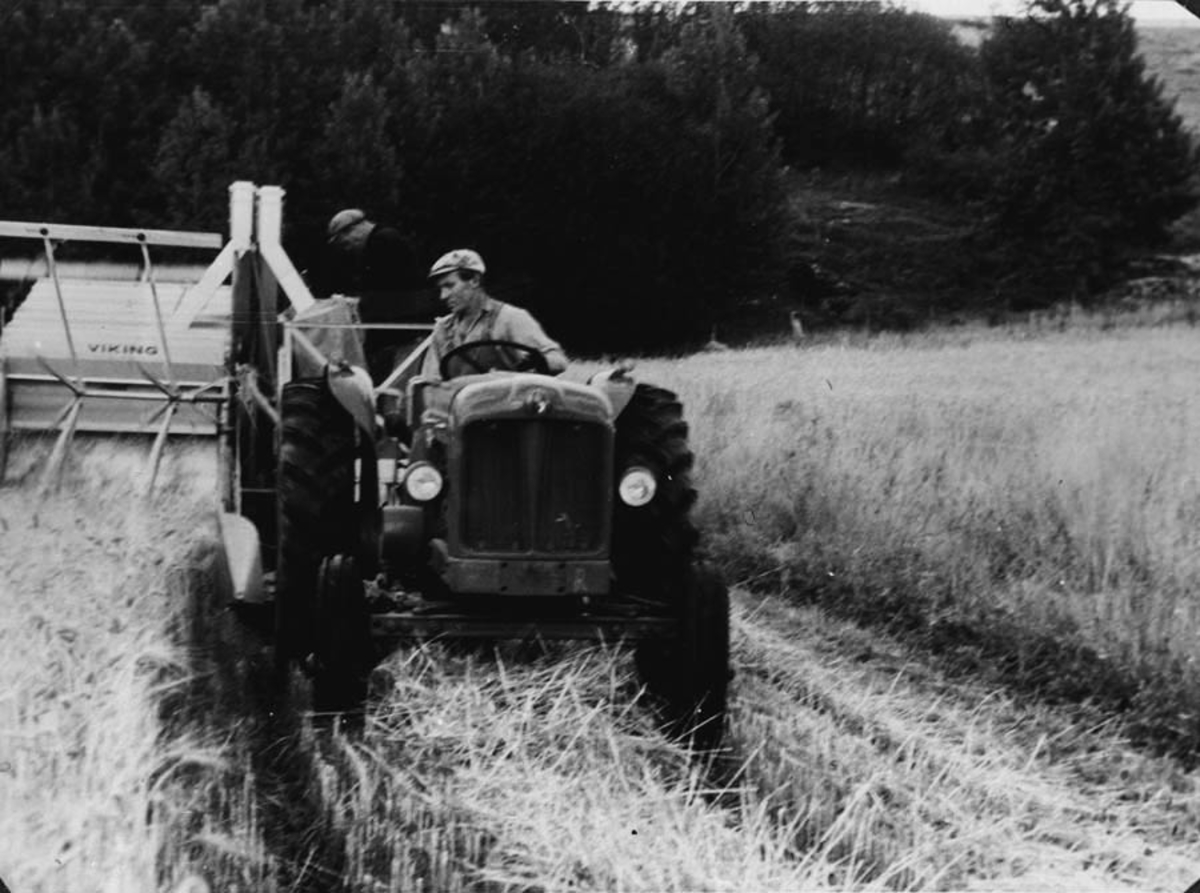 Traktor med selvbinder, kjørt av Torbjørn Bjerke på Winsnes i Åkrene