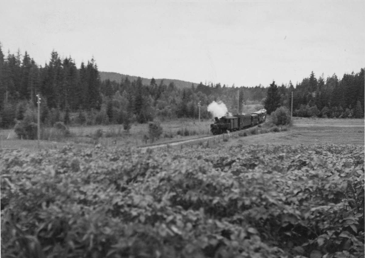 Tog 2051 på vei inn til Skulerud stasjon siste driftsdag, 30. juni 1960.
