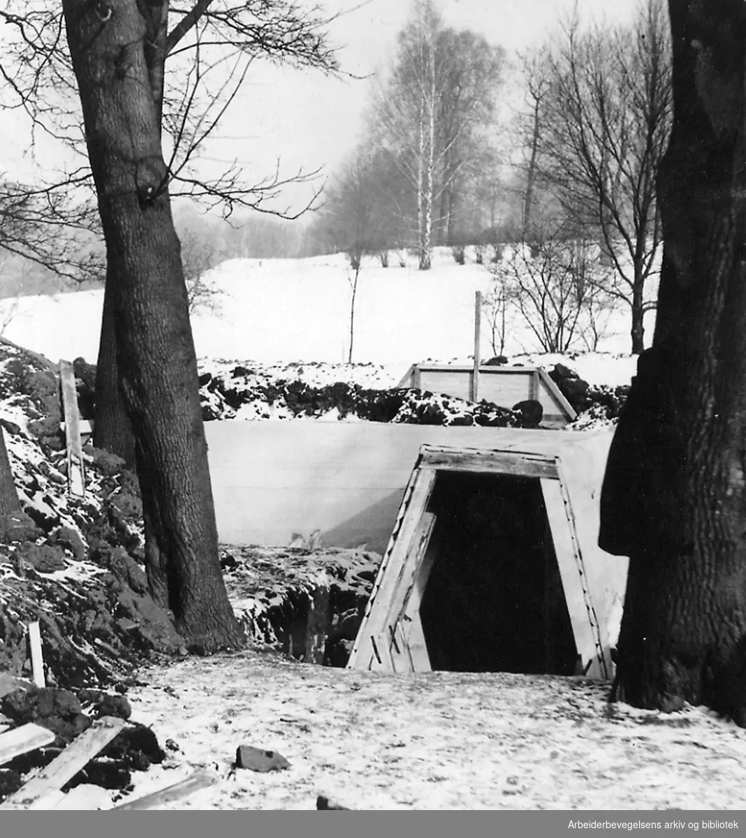 Det sivile luftvern. Dekningsgraver under arbeid i Tøyenhagen, mars 1940