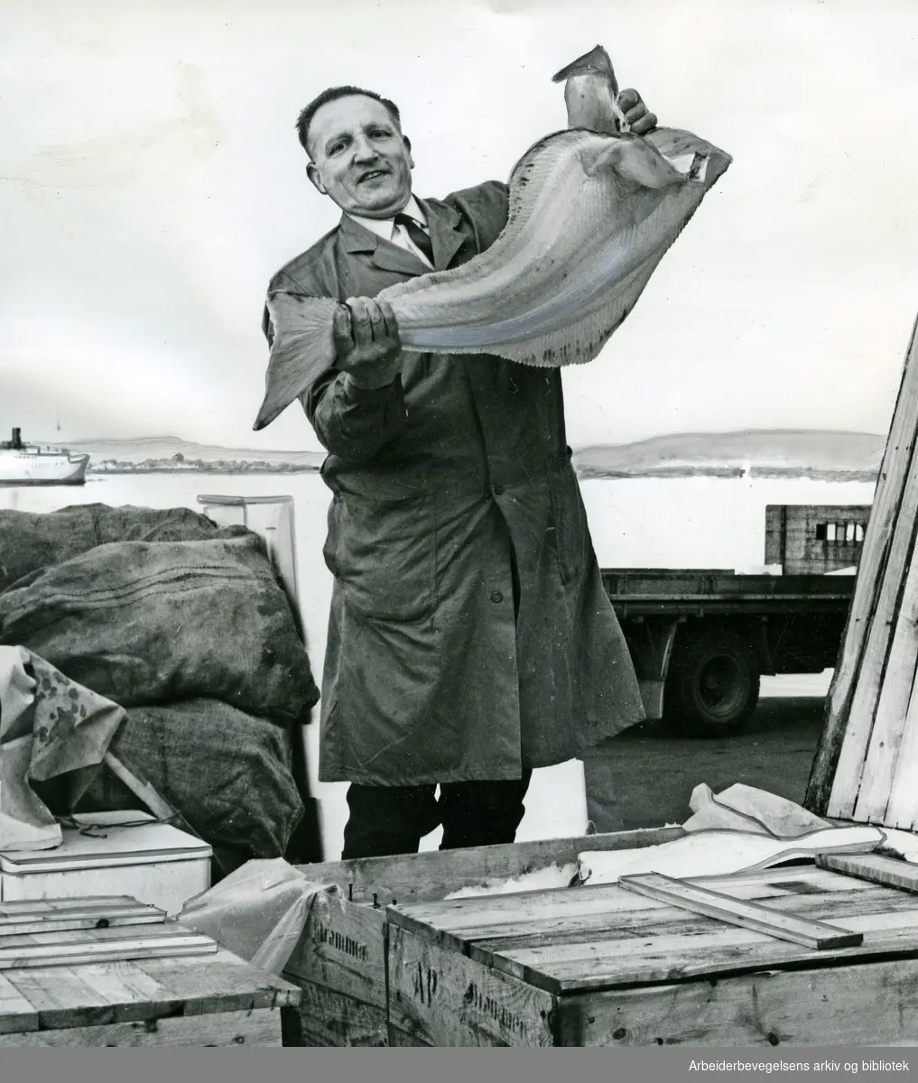 Einar Engebretsen, fiskeoppkjøper fra Drammen. .Oslo Fiskehall,.juli 1967