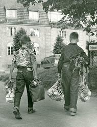 På vei hjem med årets avling fra Geitmyra skolehage, Kirkeve