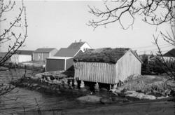 Frå Rindarøya, Øvre Løvik, Aukra. .Huset er «Reitastauå» og 