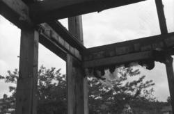 Flytting av Julsundveien 35 til Romsdalsmuseet.