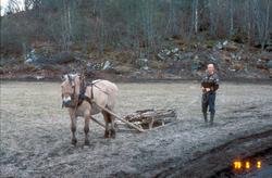 Bandstaker til hatleband fraktes på hornslede..Bilder er tat