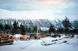 "Sommerens brennpunkt 1978"