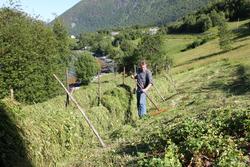 (Bilde tatt sommeren 2010).(Se Romsdal Sogelag 2010 side 63)