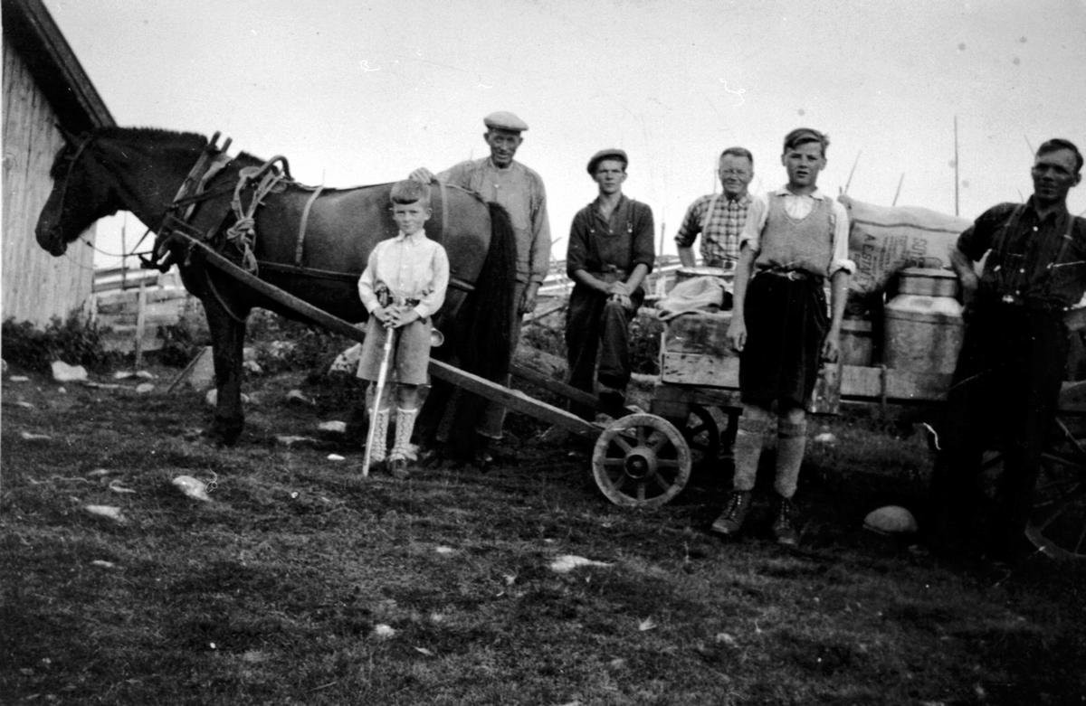 Setring på Bjønnåsseter for Bryn, Jessnes. Hest med kjerre og melkespann. 
Fra venstre er Bjørn Pedersen, sveiser Peder A. Solhøy, gjetergutt. Bak er Finn Pedersen, ukjent gutt, Martin Strand.