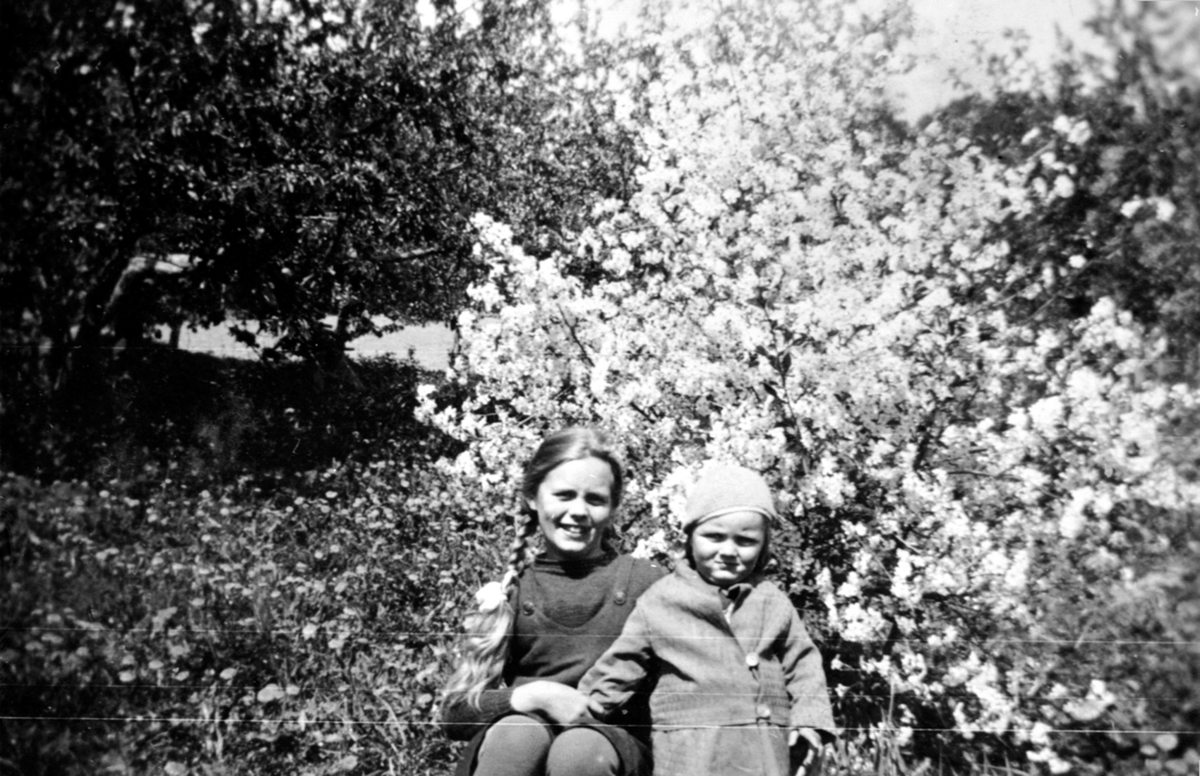 Fruktblomstring på Raknerud nordre, Helgøya. Arnfrid Sandbæk f.1926 og Else Marie Stai (Sandbæk) f.1933.