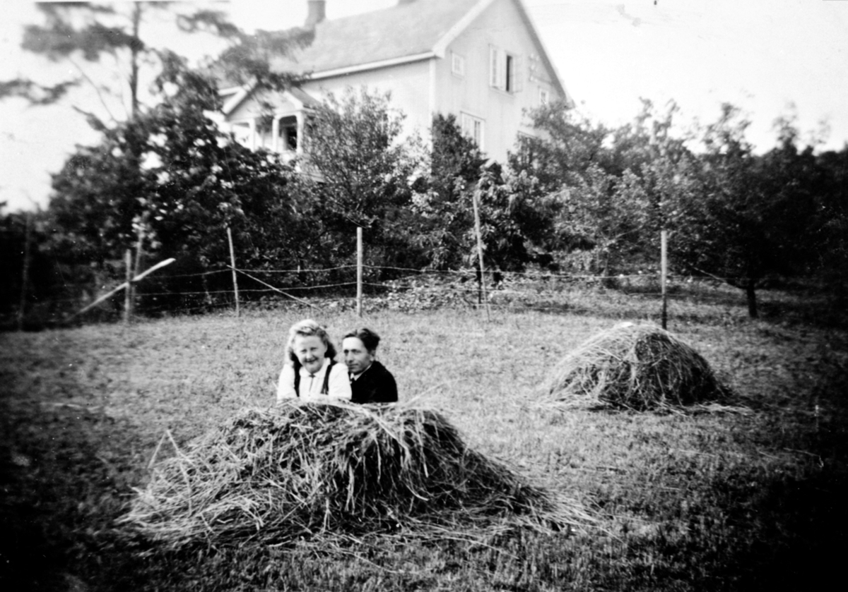 Ungt par sitter i høysåte på Raknerud søndre, Helgøya. Ragna Langseth f.1918 og Halftan Slåtten (1910-1985)