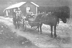 2 HESTER MED TRILLER FRA ÅLSTAD, FJELLREISE, FOLK, DINGSRUD 