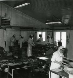 Filetarbeidere ved Fi-No-Tro anlegget i Mehamn ca 1962
Dame