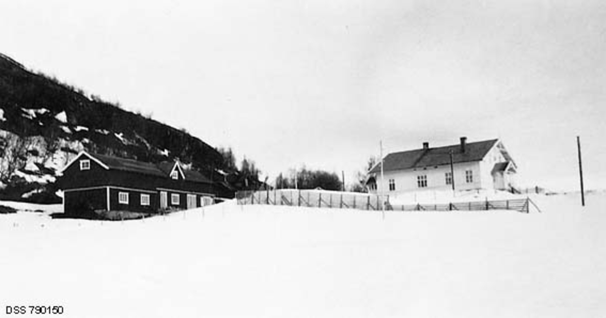 Gardstunet på skogforvaltergarden på Elvenes i Sør-Varanger, der skogforvalter Trygve Tybring Meidell (1889-1963) hadde sin embetsbolig da dette fotografiet ble tatt i 1932.  Meidell var skogforvalter i Aust-Finnmark fra 1924 til 1947.  Fotografiet er tatt i mai måned.  Likevel lå det snø på jordvegen rundt gardstunet, som var plassert på en rygg i landskapet.  Skogforvalteren bodde og hadde kontor i en kvitmalt, halvannenetasjes sveitserstilbygning.  Videre hadde eiendommen en rødmalt driftsbygning, antakelig med fjøs, stall og fôrrom.  Nedenfor våningshuset, mot jordet, var det reist tregrinder, antakelig for å bremse snødrevet vinterstid.  Til venstre for gardstunet ser vi en forholdsvis bratt fjellrygg med bladlaus bjørkeskog. 