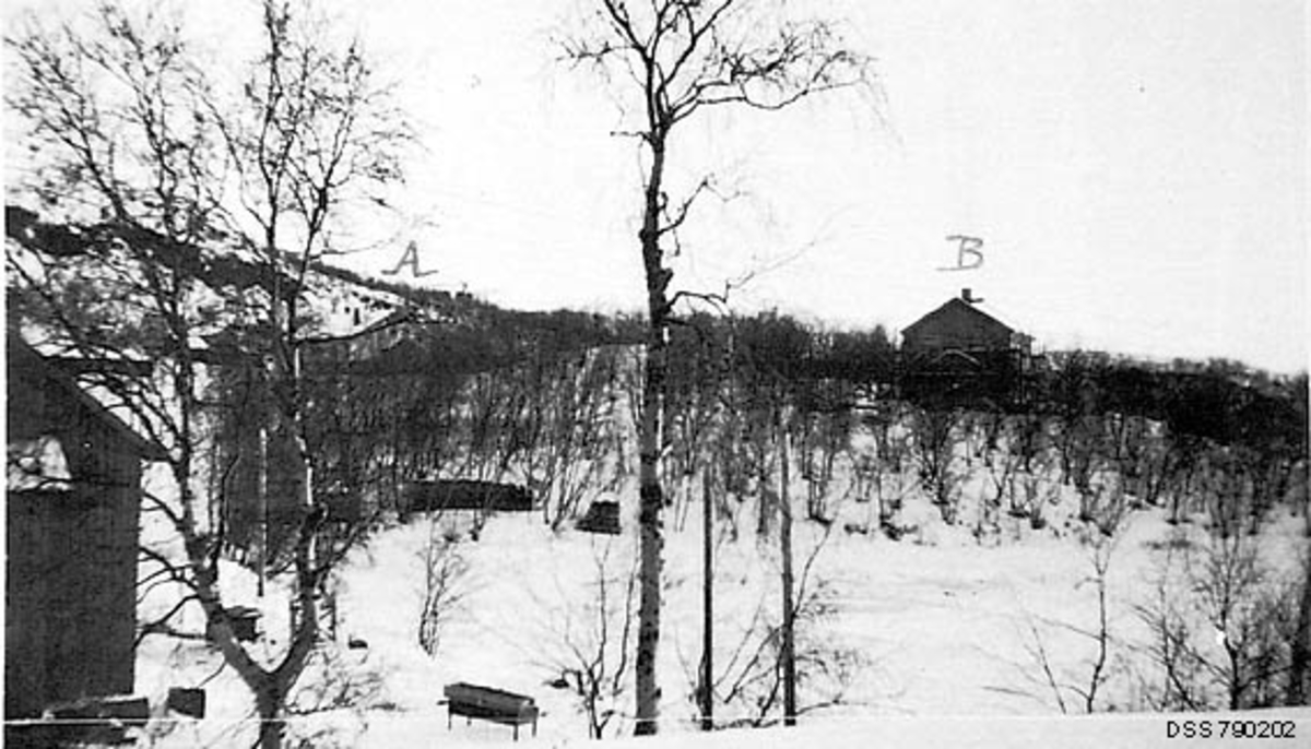 Fra Elvenes sagbruk, nederst i Pasvikdalføret i Sør-Varanger kommune i Finnmark.  Fotografiet er tatt vinteren 1922. Det viser hvordan sagbruket er plassert i bjørkeskogsbeltet mot en fjellrygg bakenfor.  Vassdraget og lensa, som var hovedårsaken til at staten fra 1920 og framover satset på å utvikle et sagbruk her, ser vi derimot ikke.  Fotografen har markert tre bygninger med bokstaver på bildeflata eller i dennes utkant.  Bokstaven A er plassert over det stedet der Elvenes gard lå.  Denne garden var embetsbolig for skogforvalteren i Øst-Finnmark, den administrasjonsenheten som forvaltet sagbruket og bidro med mesteparten av tømmerråstoffet.  Bokstaven B er plassert over taket på sagbruksbestyrerboligen, som også huset sagbrukskontorene.  Denne bygningen ble reist etter tegninger av arkitekt Lorentz Ree fra Kristiania, og den var helt ny da dette bildet ble tatt.  Til venstre i bildet ser vi hjørnet av sagbruksarbeiderbrakka.  

Det var Andreas Christensen Bergerud fra Søndre Land som anla et lite, lokomobildrevet sagbruk ved Elvenes omkring.  Staten eide mesteparten av skogen i regionen, og disponerte et lite sagbruk ved Bjørnevatn.  Sommeren 1920 kjøpte staten både Elvenes-saga og de tilstøtende jordeiendommene Elvenes og Bekkevoll.  Sagbruket omfattet på dette tidspunktet, i tillegg til produksjonsanlegget, ei arbeiderbrakke med fem rom og kjøkken.  Administrasjonen ble i første omgang overlatt til skogforvalter Arthur Klerck, som bodde på garden Elvenes.  Han fikk snart tak i en bestyrer, som flyttet inn i borgstua på Elvenes.  Også sagbrukskontoret lå i denne bygningen.  Da staten kjøpte Elvenesbruket var skognæringene inne i en veritabel høykonjunktur, og flere posisjonerte seg.  Det fantes tre private sagbruk i Sør-Varanger, hvorav riktignok bare det som tilhørte gruveselskapet A/S Sydvaranger var i drift.  Men selskapet A/S Pasvik Timber Co. var i ferd med å reise et storsagbruk med åtte sagrammer ved Kirkenes.  Men også staten satset stort.  Det ble først bygd ytterligere ei brakke med fire soverom, kjøkken og spisesal med plass til 490 personer (1920-21).  Umiddelbart deretter startet arbeidet med å reise en bestyrerbolig, som også hadde plass til sagbrukskontoret (ferdig 1922).  I tillegg til å levere vanlig skurlast, tok startet Elvenessaga i 1922 produksjon av hus, som ble laftet opp på sagbrukstomta.  Deretter ble tømmeret merket og demontert, og transportert til kjøperne sammen med det som hørten til av golvbord, himlingsmaterialer, listverk, dører, papp og beslag.  Noe av dette produktspekteret ble hentet fra statens to andre store sagbruk nordafjells, Revelen i Rana og Nesbruket i Vefsn.  Elvenes sagbruk og høvleri ble overtatt av de tyske okkupasjonsstyrkene under 2. verdenskrig, og russiske styrker trengte inn fra øst høsten 1944 ble bruket, i likhet med annen bebyggelse i denne regionen, brent og ødelagt.  Etter krigen var det spesielt stort behov for trelast til gjenoppbyggingsarbeidet i denne regionen.  Staten ville bygge ny sag, men ettersom fløtinga på vassdraget måtte opphøremed de nye grenserelasjonene som oppsto etter krigen, skjedde ikke gjenoppbygginga på Elvenes, men i Kirkenes. 