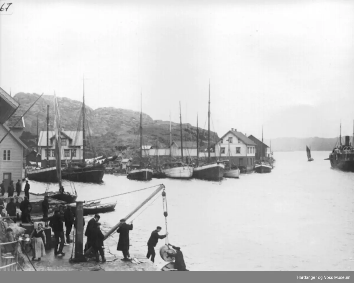 Seglskuter og fiskebåtar ved Espevær kai